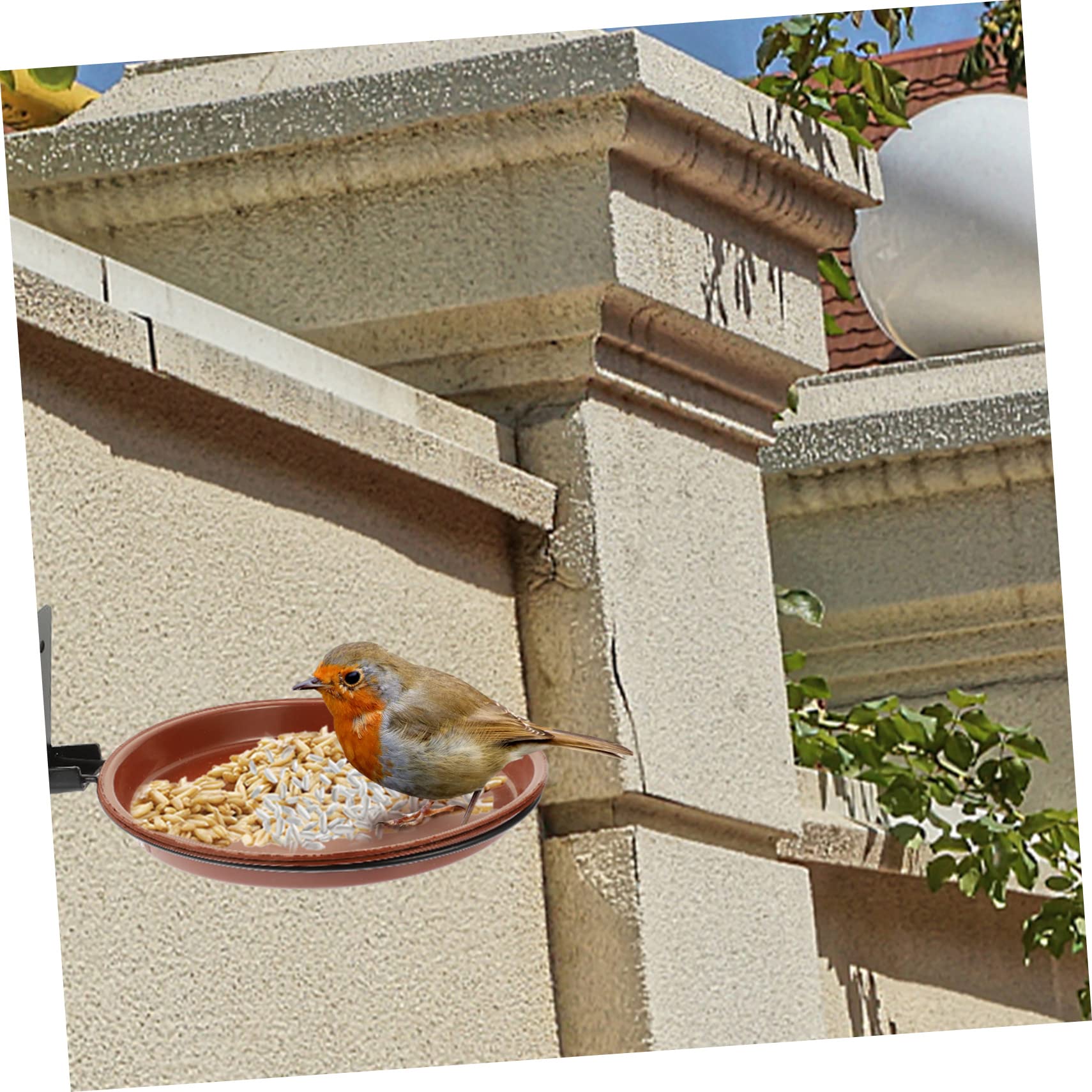 Kisangel 2 Juegos De Comedero para Pájaros Montado En La Pared Alimentador De Agua para Pájaros Tapa De Botella Regadera Comedero para Pájaros Montado En Árbol Comedero para Pájaros