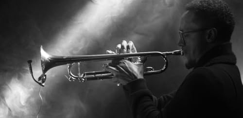 Jazz Music Smooth Blues Nonstop Radio | the best Bebop, Vocals, Swing, Big Band, Sinatra Style, and