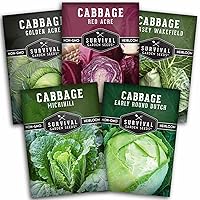 Survival Garden Seeds Cabbage Variety Pack: 5 Heirloom Non-GMO Varieties - Red Acre, Golden Acre, Jersey Wakefield & More