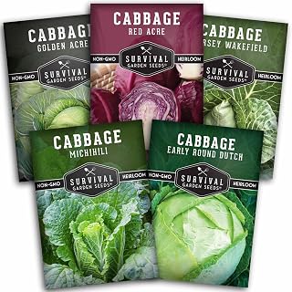 Heirloom Cabbage Seeds Variety Pack - 5 Non-GMO Varieties Red Acre Golden Acre More Survival Garden Seeds