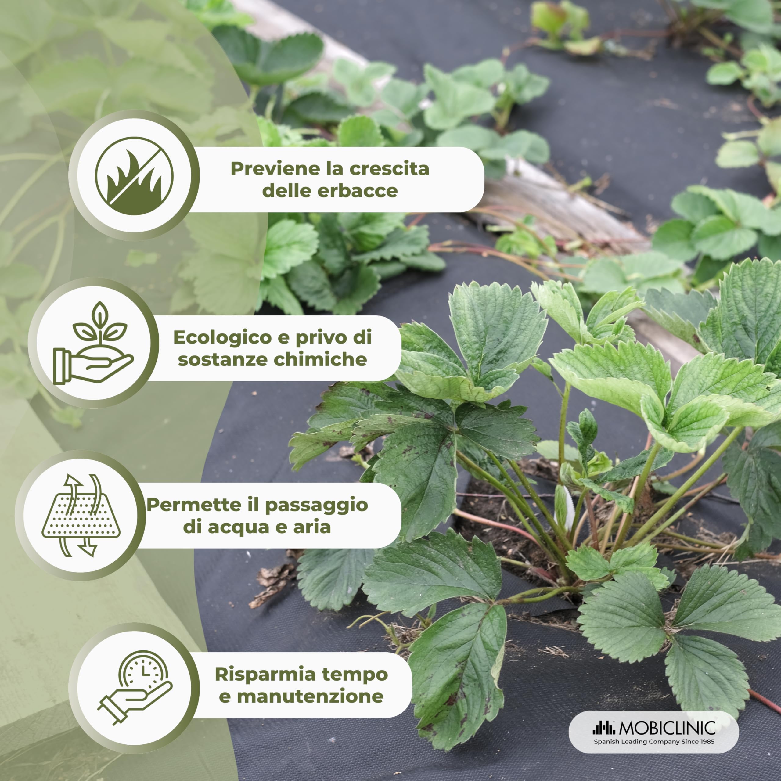 Mobiclinic®, Telo Pacciamatura, Geotessile, 150 g/m² Alta Grammatura, 1x50 m, Resistente ai Raggi UV e agli Strappi, Rete Anti-Erbacce, Permeabile all'Acqua, Traspirante, Giardino e Serra, HerbStop