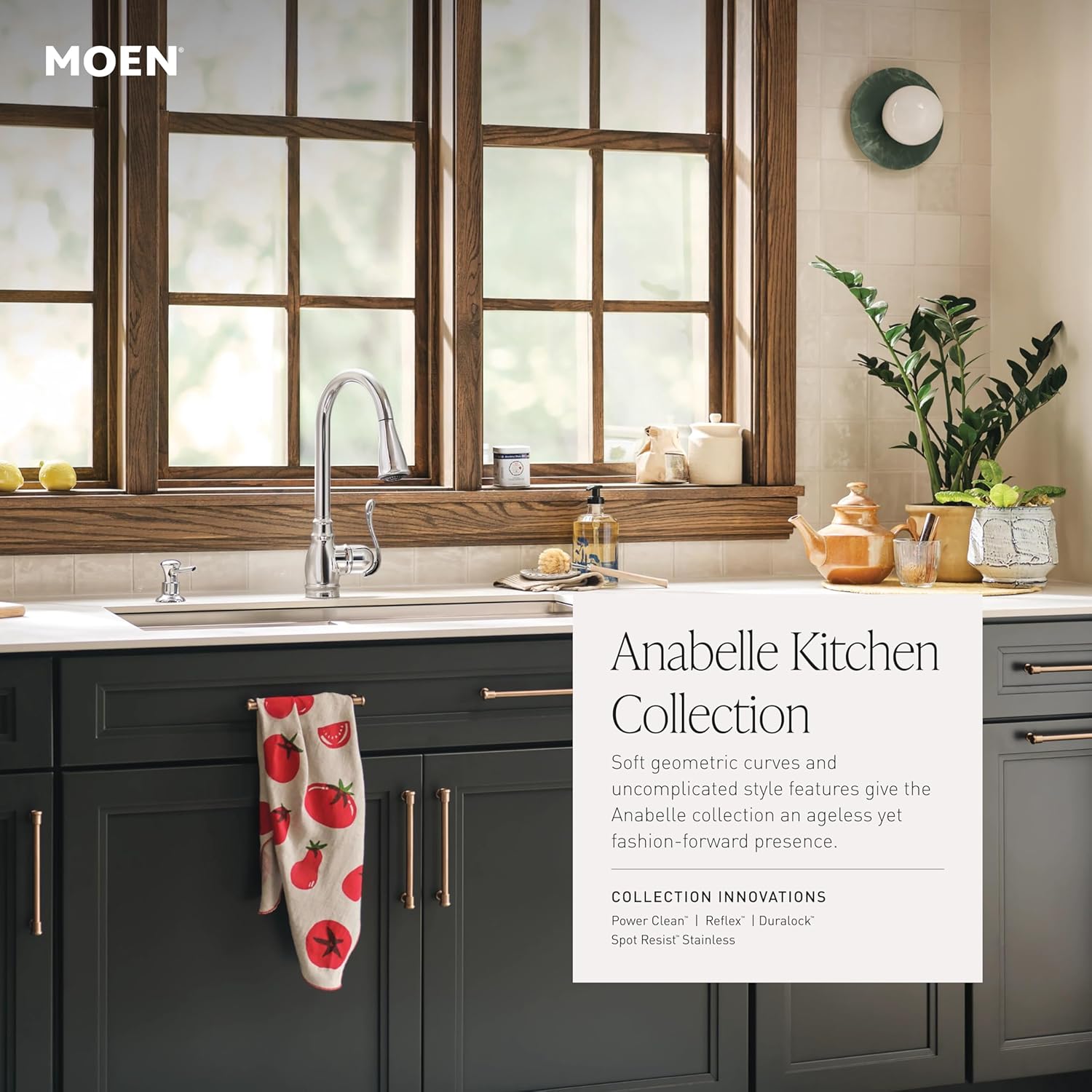 Moen CA87003BRB Single Handle Kitchen Faucet with Pullout Spray from the Anabelle Collection, Mediterranean Bronze