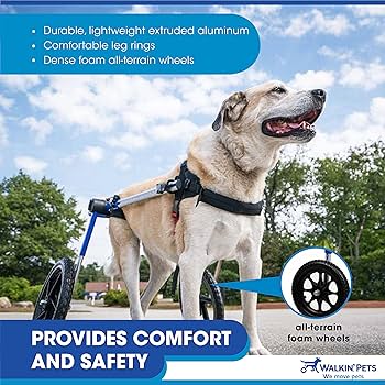 ウォーキンホイールズ　犬 車椅子 Amazon | ウォーキン・ホイールズ 犬用車椅子 Lサイズ ブルー