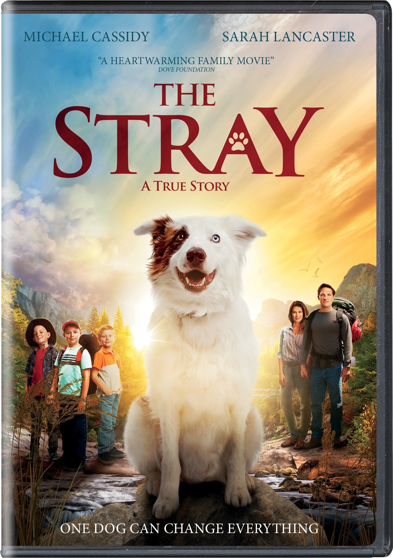 The Stray [DVD] [DVD]