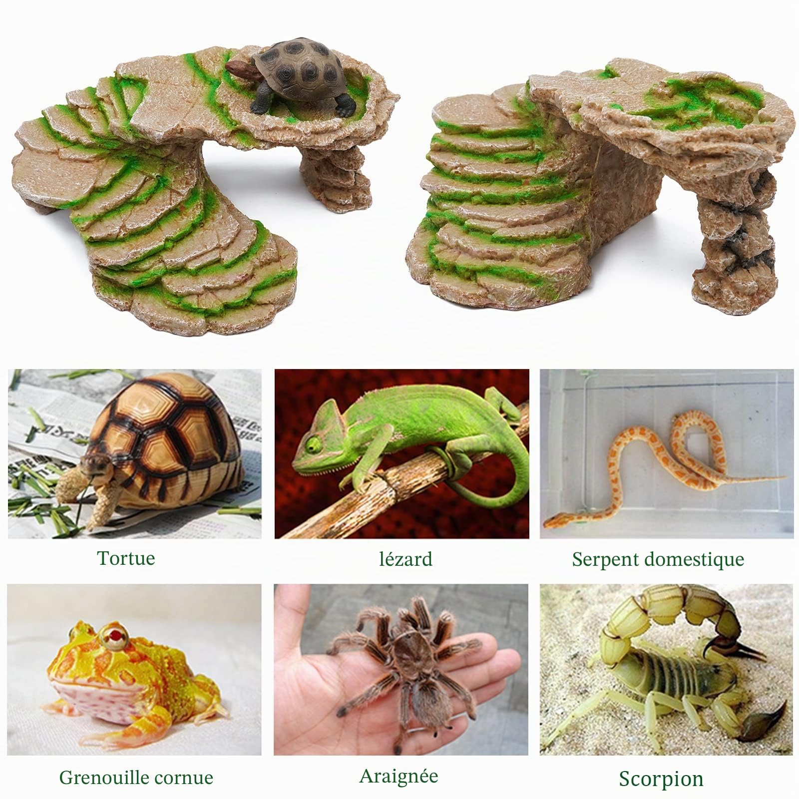 Abri pour Tortue Terrasse Trou de Tortue Peau Decoration Aquarium Cachette Reptile ​RéSine Bronzage Rock Barbu Dragon Accessoires Reptile DéCoration