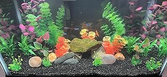 Review Image by Carlos Carlos