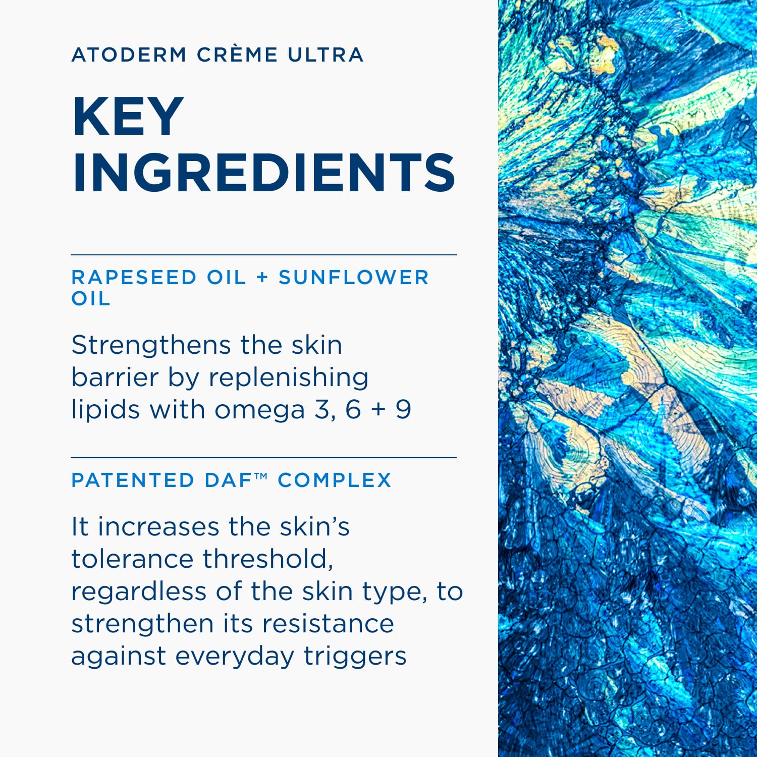 BIODERMA Atoderm Creme Ultra reichhaltige, schützende Körpercreme, 500 ml Kremowa