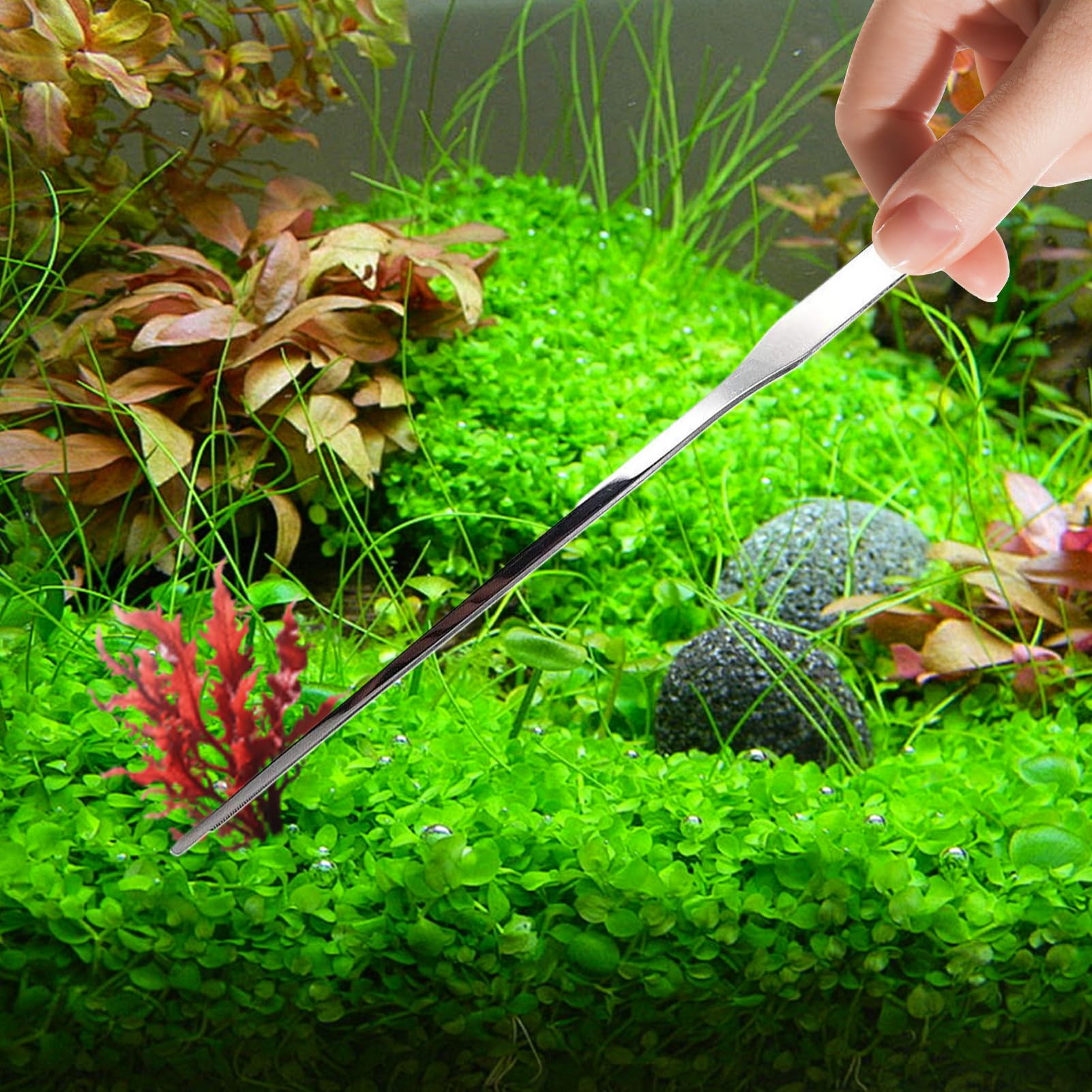 Pinces Longues pour Aquarium - Pinces Longues de Nourrissage pour Reptiles | d'Aquarium Ergonomiques | pour Aquarium Terrarium Eau Douce Eau Salee Gecko Axolotl Dragon Barbu