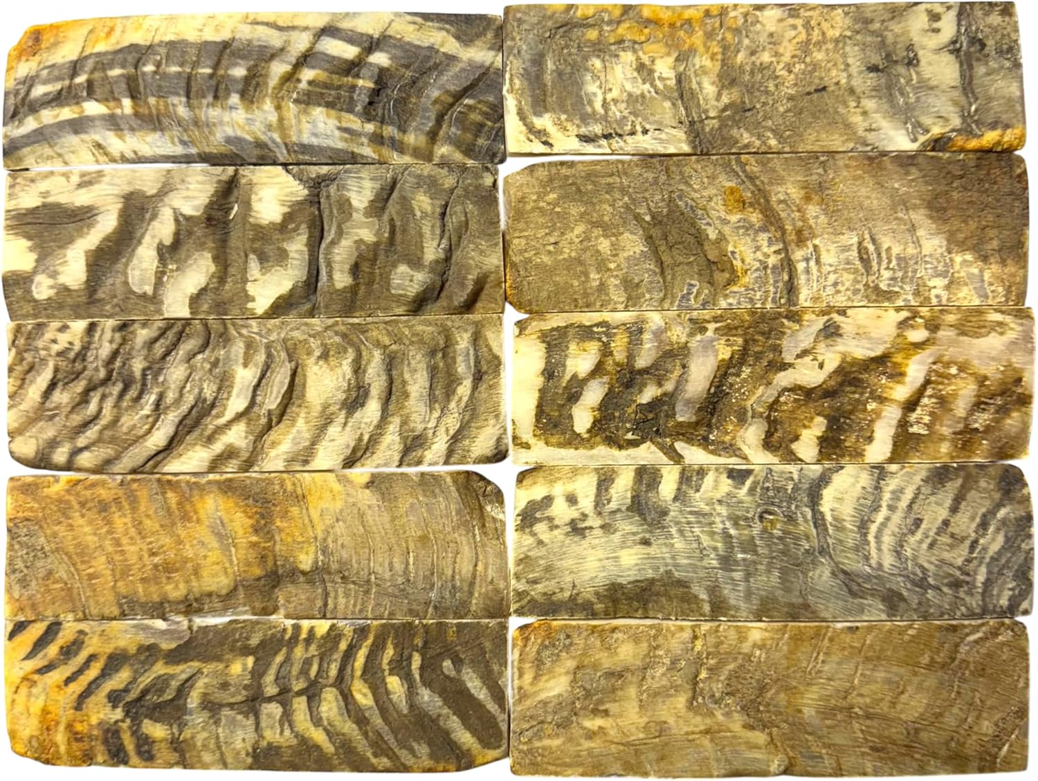 Malayan Products 10 Ram Horn Scale Blanks Crafting Material in Bulk 5in by 1.5in, Horn Plating, Thin, Flawed, Not Ideal for All Knife Handle Making Projects