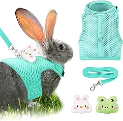 Conjunto de arnês e coleira de coelho com 2 decorações fofas de malha respirável e fivela ajustável macia para coelhos, furão, porco, cachorrinho, suprimentos para caminhada (verde, padrão