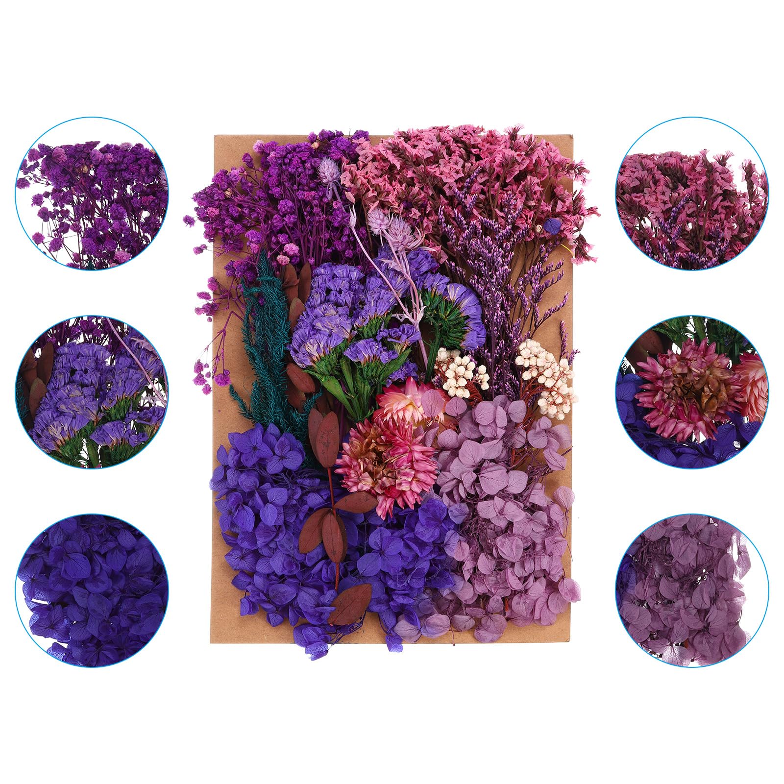 PATIKIL Pressed Flowers for Craft Bulk Dried Flowers Natural Pressed Leaves for Resin Soap Candle Scrapbooking DIY Gift Papermaking - Image 3