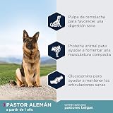 Ver la foto 3