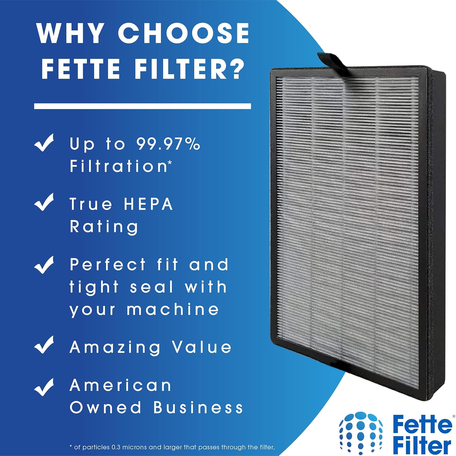 Fette Filter - PM1539 True HEPA H13 Replacement Air Purifier Filter Set Compatible with Inofia Air Purifier System Compare to Part # PM1539. Pack of 2