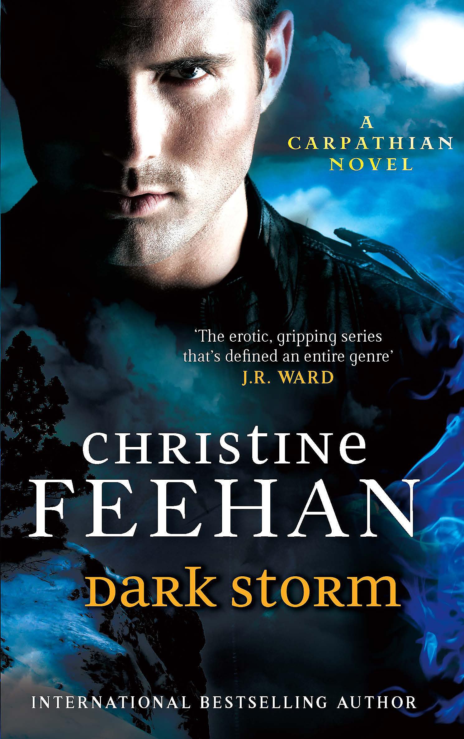 Dark Storm: Number 23 in series (Dark Carpathian)