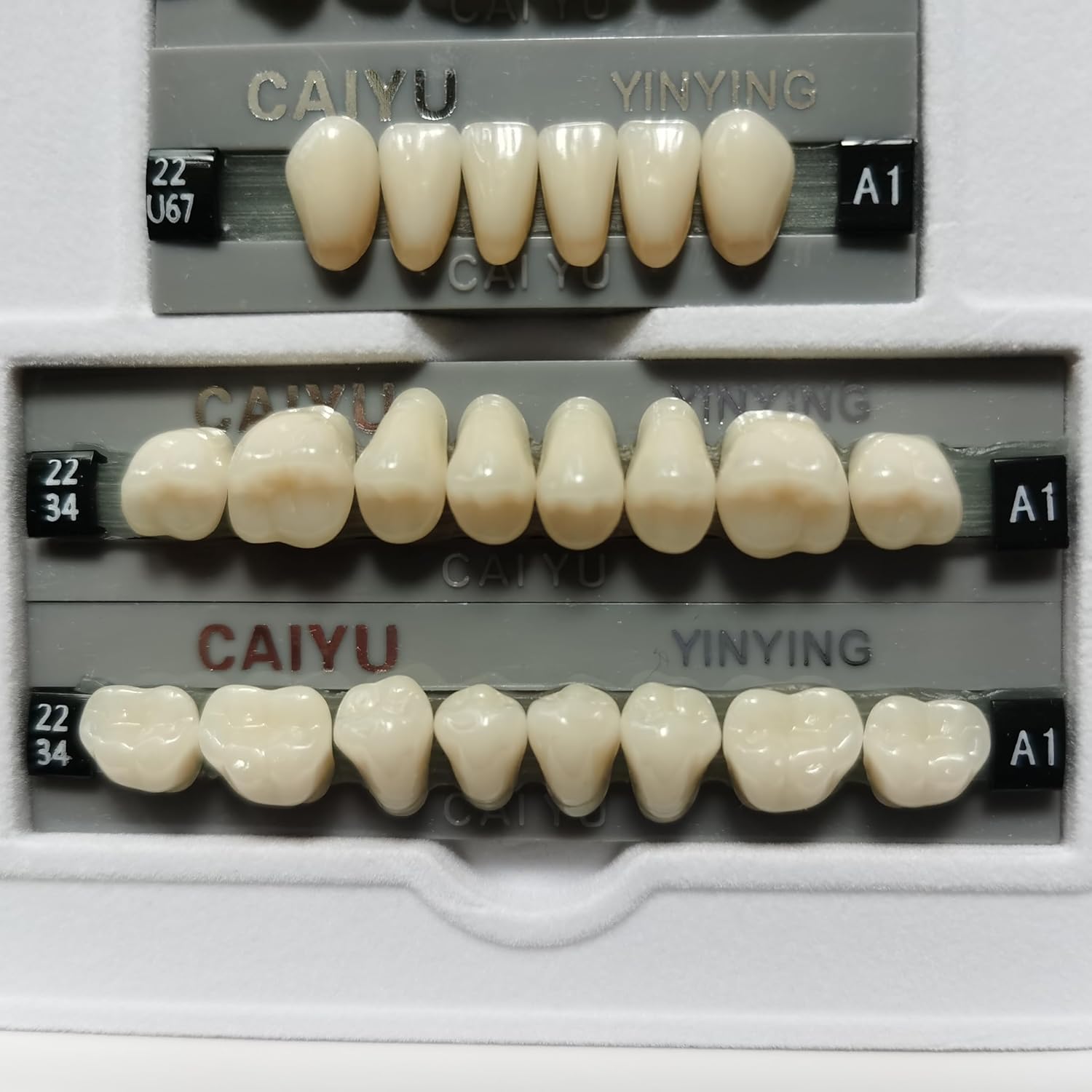 SDent® 2 Boxes 3 Layers Super Hard Synthetic Resin Teeth Multi-Layer Acrylic Composite False Teeth Denture Polymer Polymerial Materials 2 Mouths/Box & Full Set & A3 & 56PCS