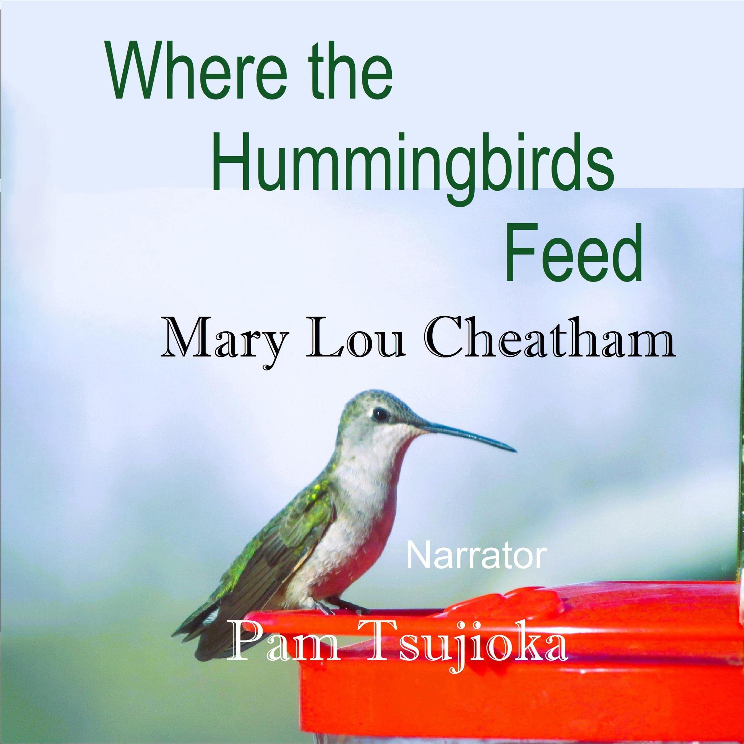 Where the Hummingbirds Feed
