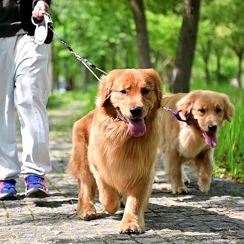 Miniatura 8 de EXPAWLORER Correa retráctil doble para perro, a prueba de masticación, 2 cuerdas de alambre fuertes sin enredos, correa resistente de 16 pies para