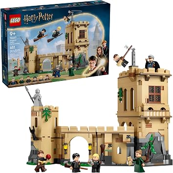 LEGO Harry Potter Hogwarts Castle: Flying Lessons Building Toy - Kids Wizard Toy for Boys and Girls, Harry Potter Fans, Ages 9+ Gift Idea for Birthdays - 76447