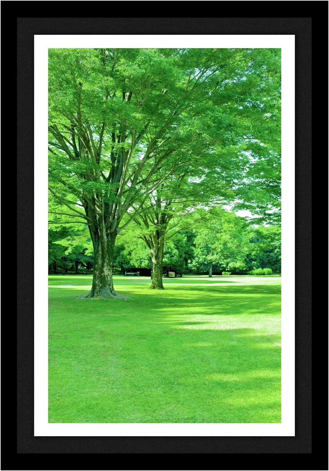 Treemaison CORNATING HOMES Lush Green Nature Landscape - Vastu Remedy, Painting with Frame (13 * 19, Black Frame)