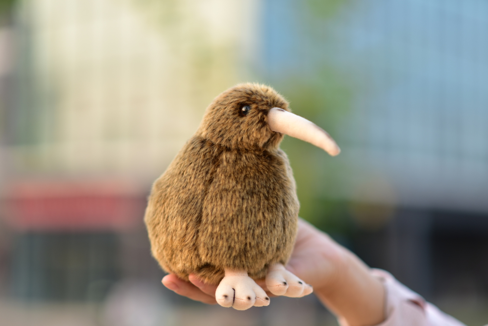 Amazon.com: LIUHONGFEI Simulation Kiwi Plush Toy. Stuffed Animal