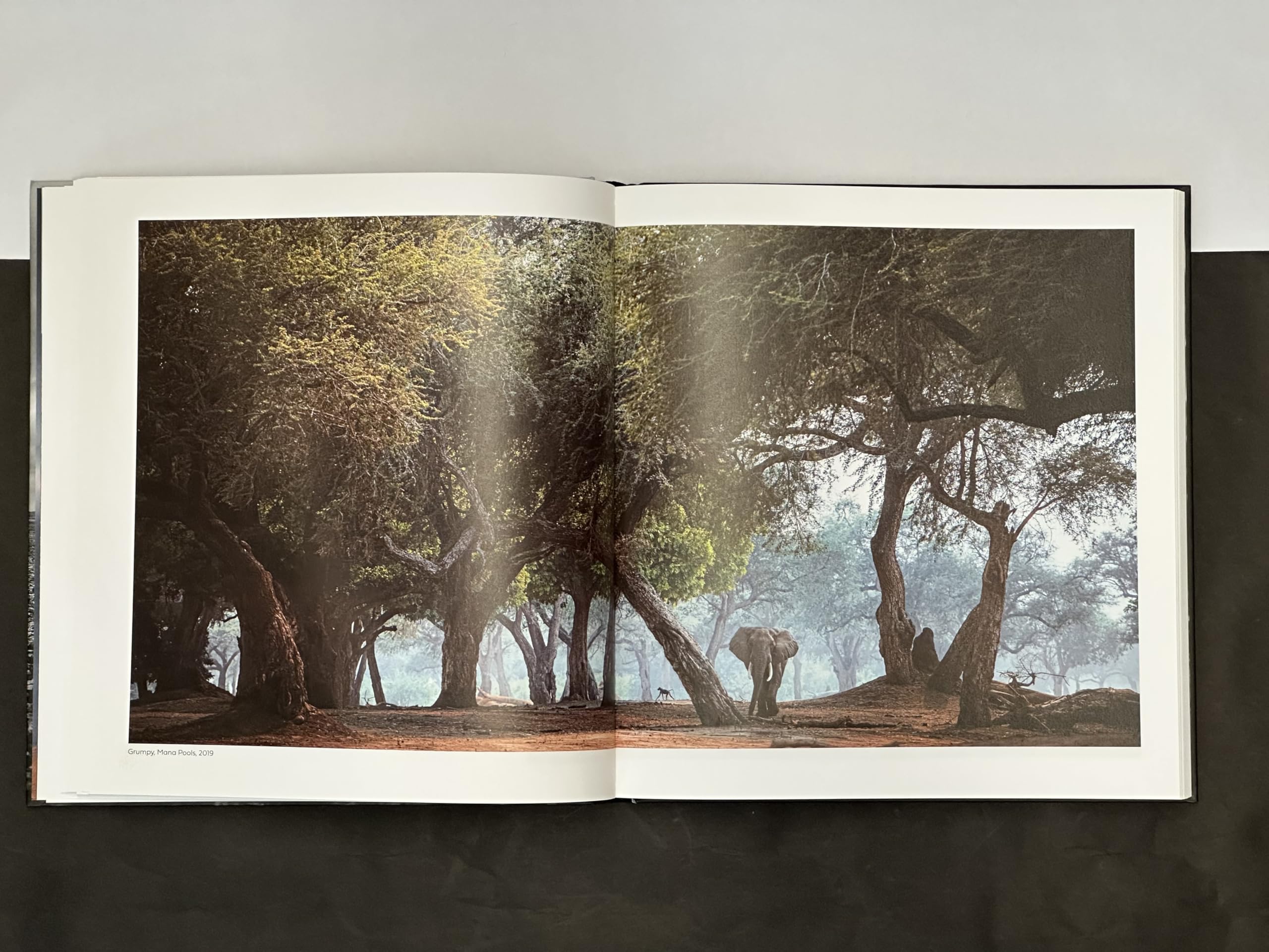 Walk the Earth: Federico Veronesi