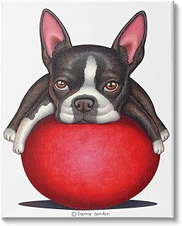 Stupell Industries Boston Terrier Big Red Ball Pet Dog Illustration, Design by Danny Gordan Canvas Wall Art, 16 x 20, White