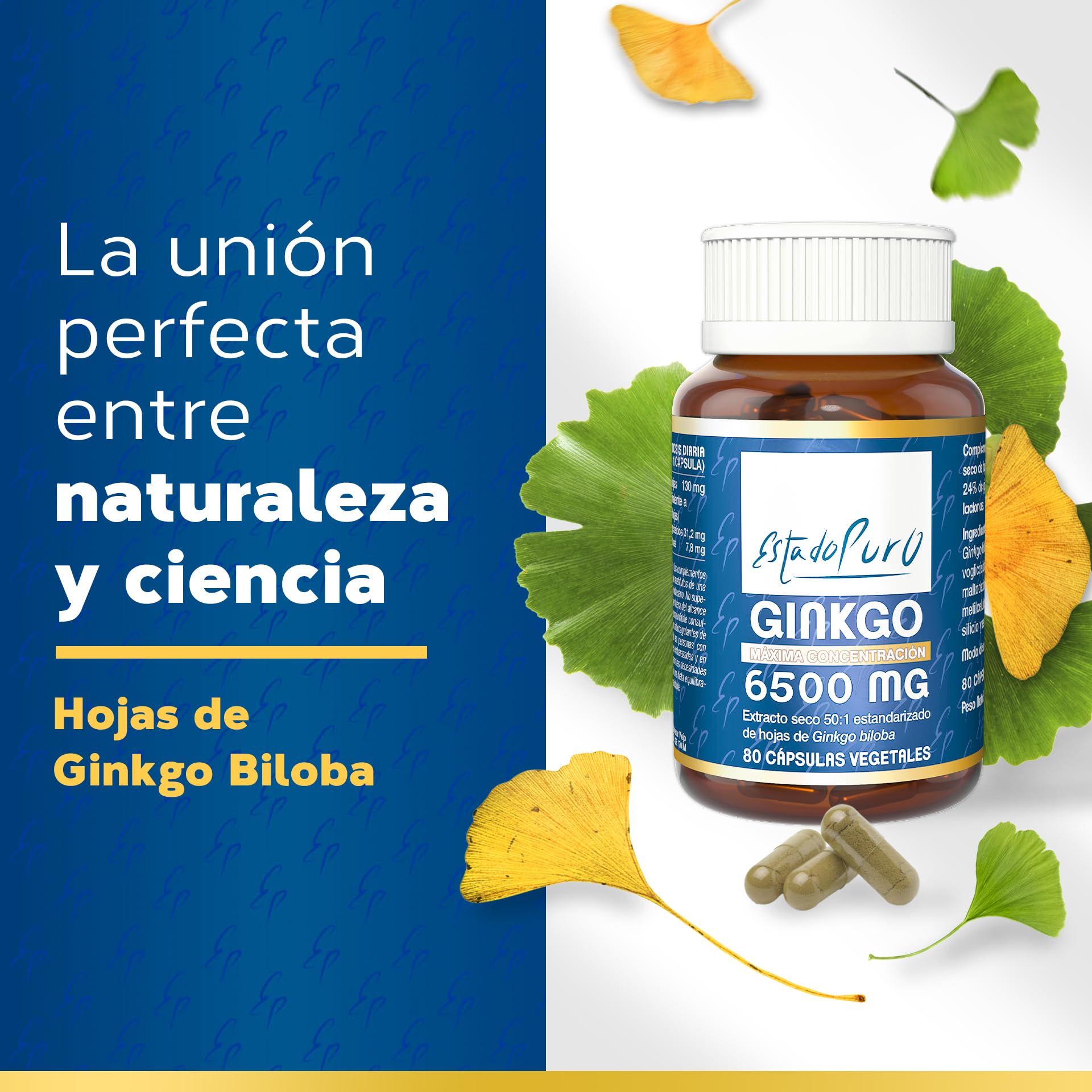 Ginkgo Biloba Estado Puro 6500mg | Extracto Estandarizado y Máxima Concentración | 24% de Flavonoides y 6% de Terpenos | Memoria y Concentración + Circulación | 80 Cápsulas de Tongil (Lote de 1)