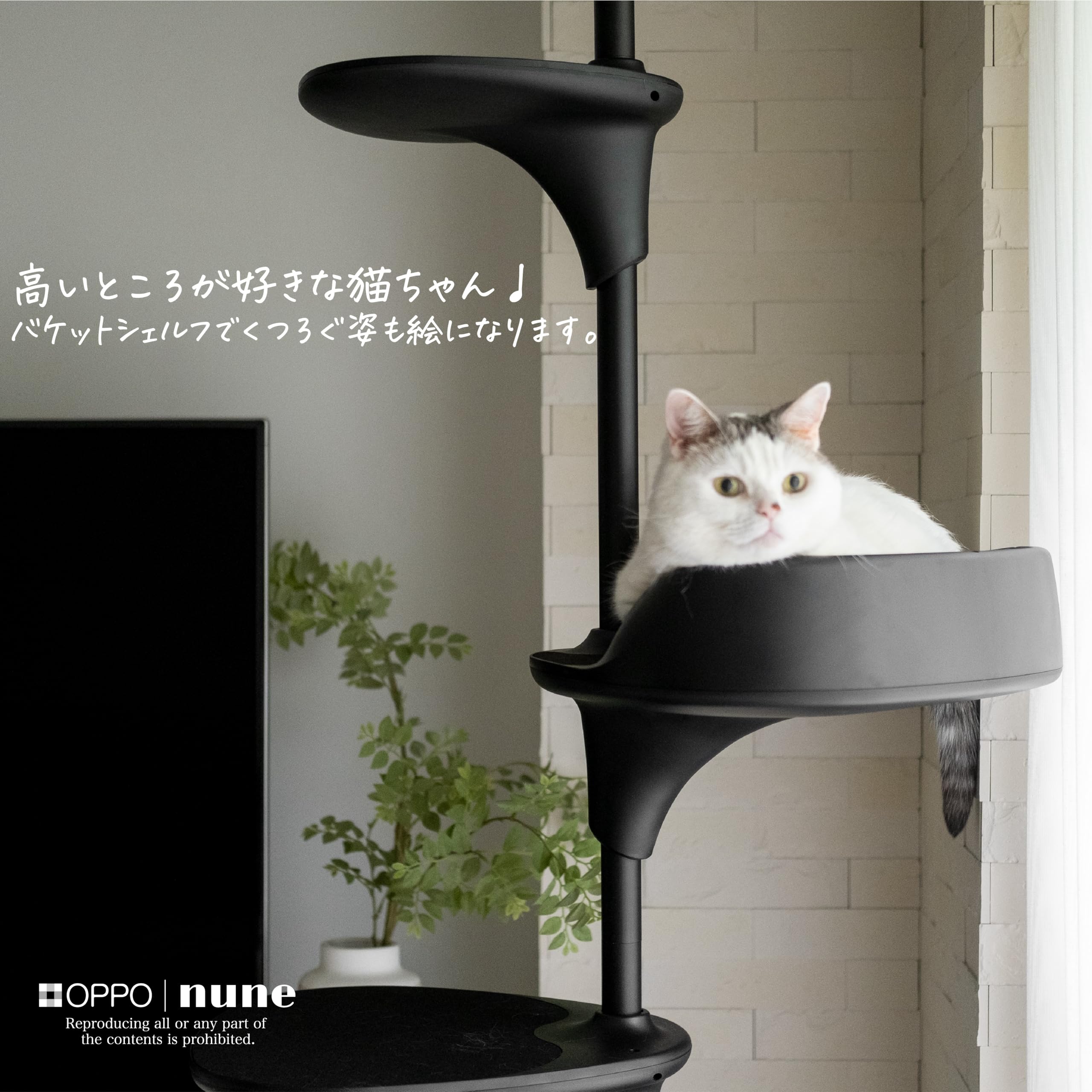OPPO CatForest キャットタワー 突っ張り型 Amazon | OPPO CatForest-2 