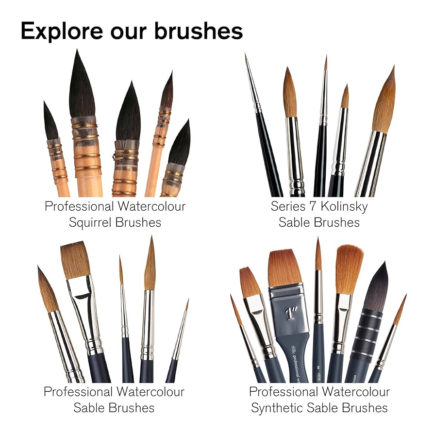 【合馬公式アカウント１】winsor&newton Amazon | Winsor & Newton ウィンザー&ニュートン 絵具