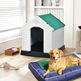 DWVO Large Dog House, 41.3''L*38''W*38.8''H, Green