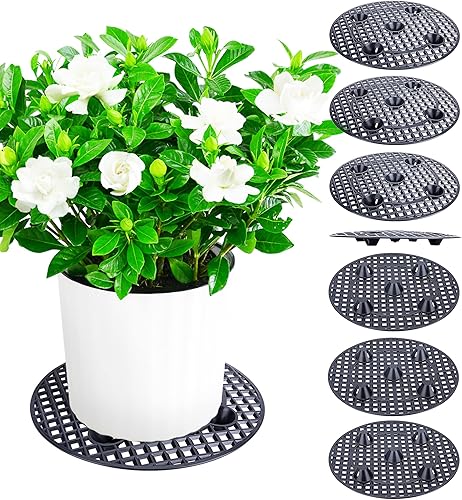 8 elevadores de macetas a nivel de plantas, soportes para plantas, platillo de maceta de 12 pulgadas para evitar la pudrición y daños en patio y disponible en Yaxa Mexico