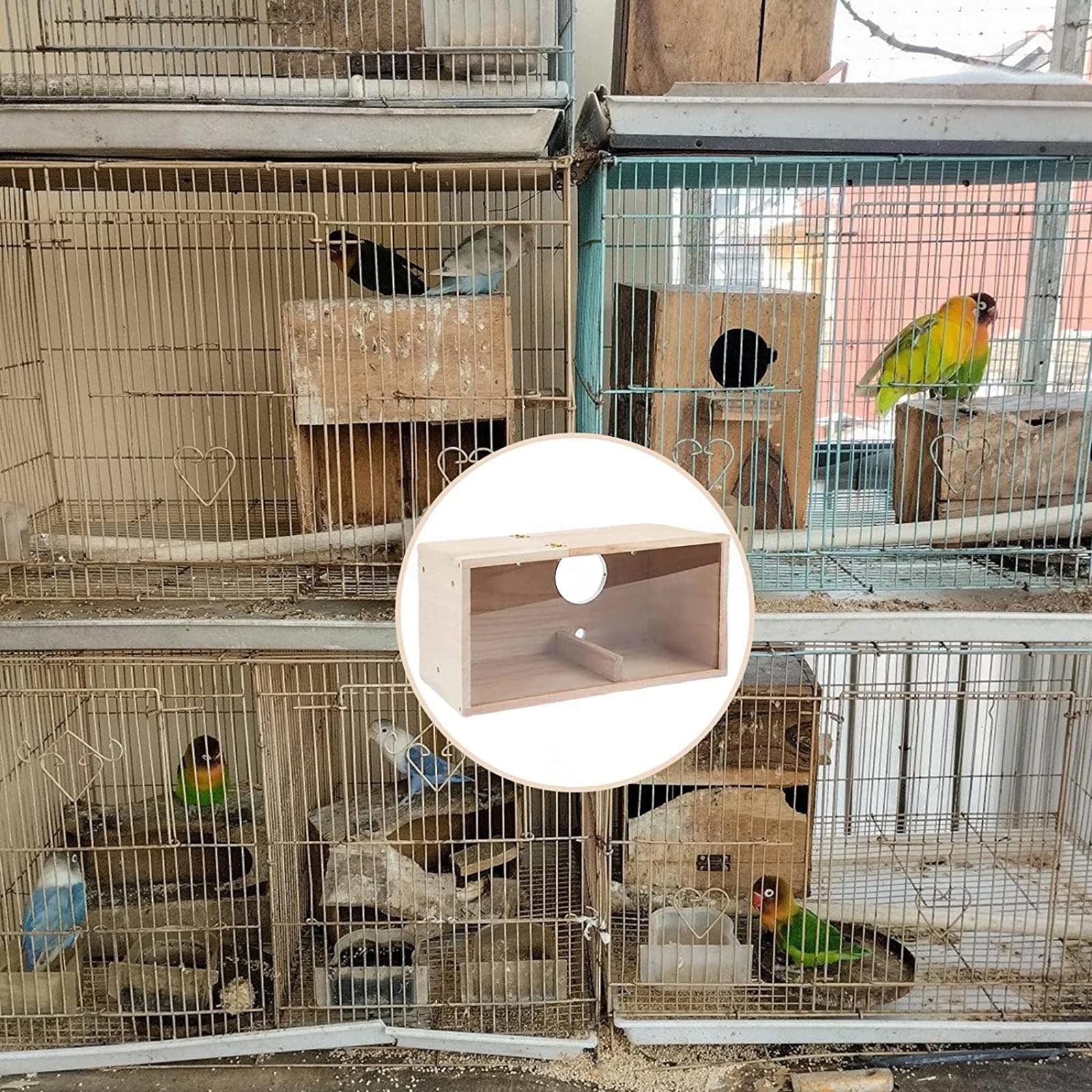 Amazon.co.jp: 木製透明インコ巣箱：木製透明インコ巣箱鳥の巣繁殖箱鳥