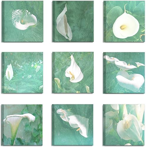 Miniatura 2 de The Stupell Home Décor Collection - Juego de 9 piezas de arte de pared de lirios de Cala verde primavera