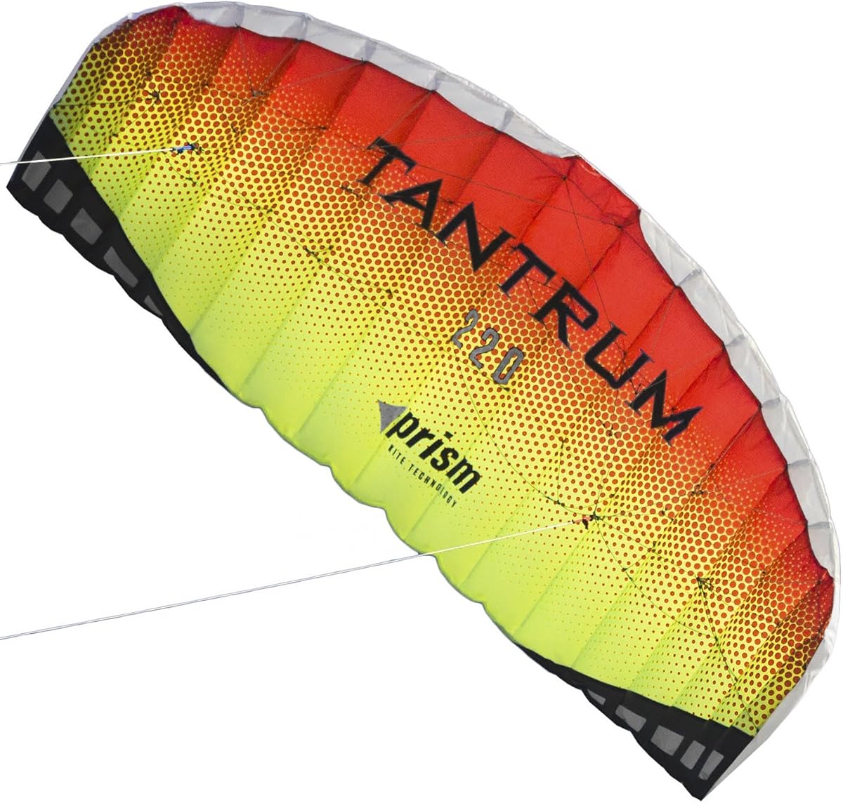Tantrum 220 Dual-line Parafoil Kite with Control Bar