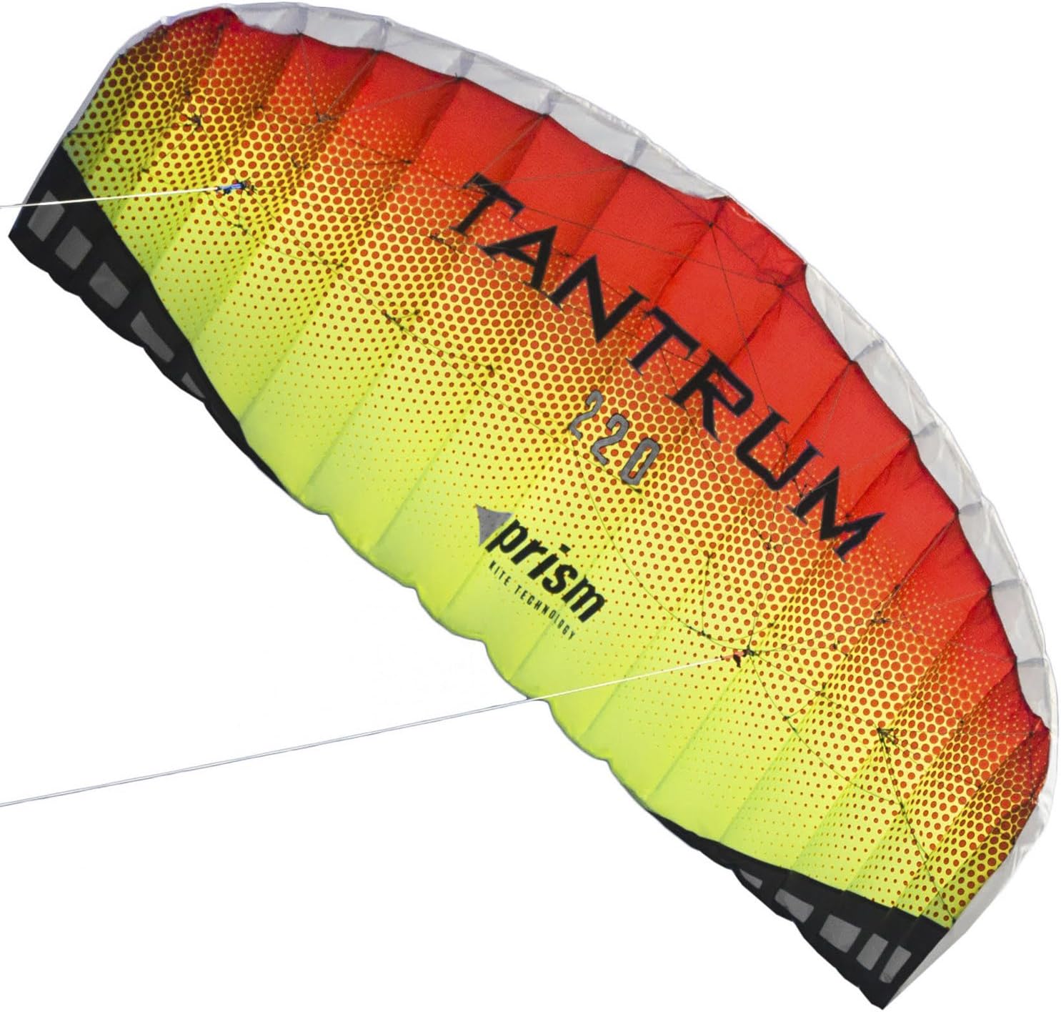 Tantrum 220 Dual-line Parafoil Kite with Control Bar
