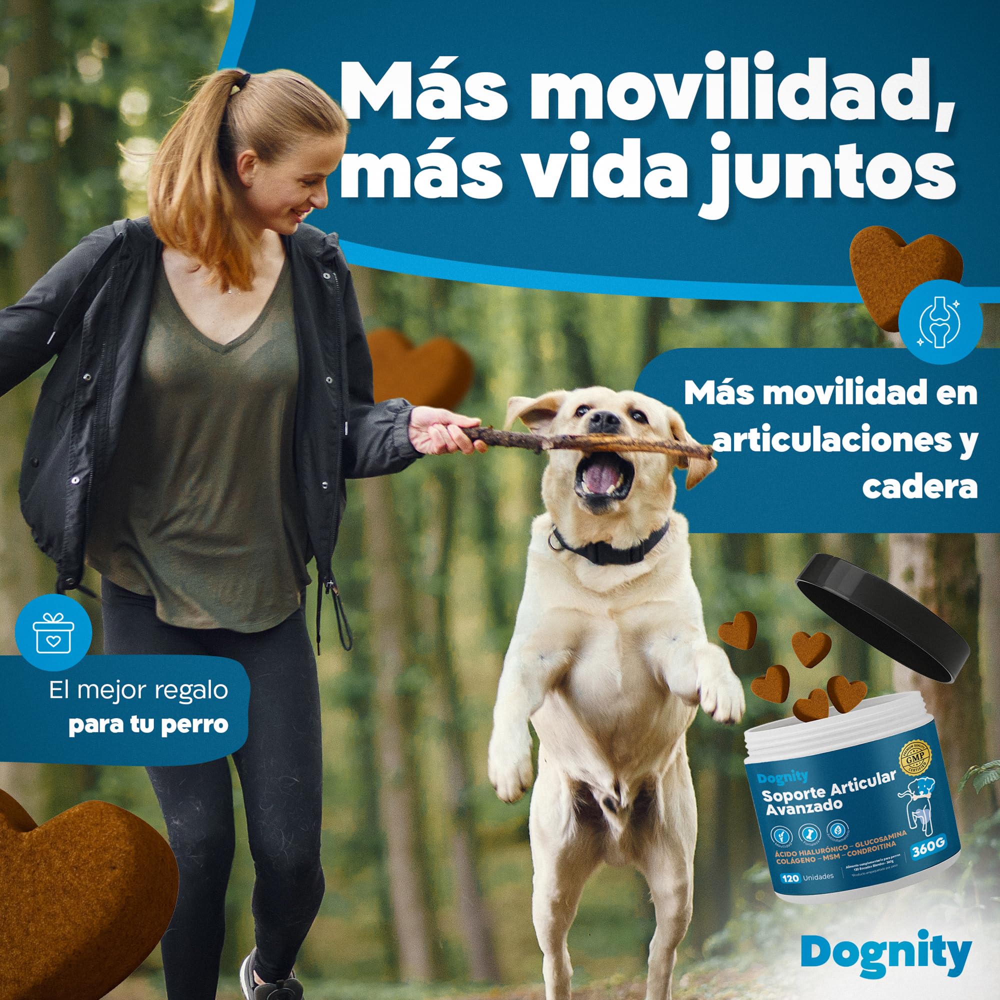 Bocados Blandos Condroprotector Perros Articulaciones Cadera Movilidad GMP+ | Suplemento articular glucosamina condroitina colageno hialuronico natural senior razas grandes 120 bocados 360g