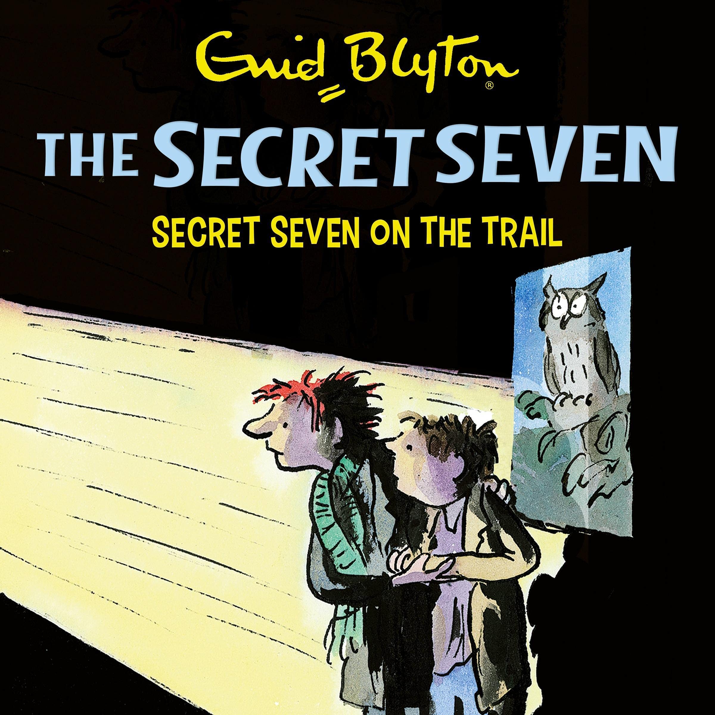 Cover art for Secret Seven On The Trail