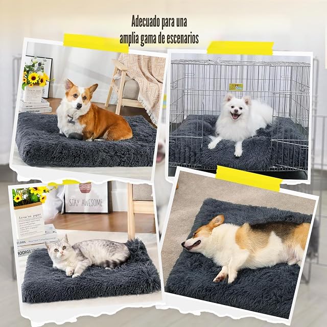 Foto 6 de 7 de MDDK DY Camas Perros 100 x 60cm Desenfundable y Lavable para Perros Grandes