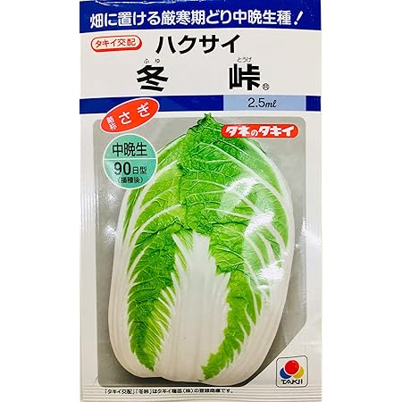 Amazon 冬峠 タキイ種苗の白菜種です 野菜