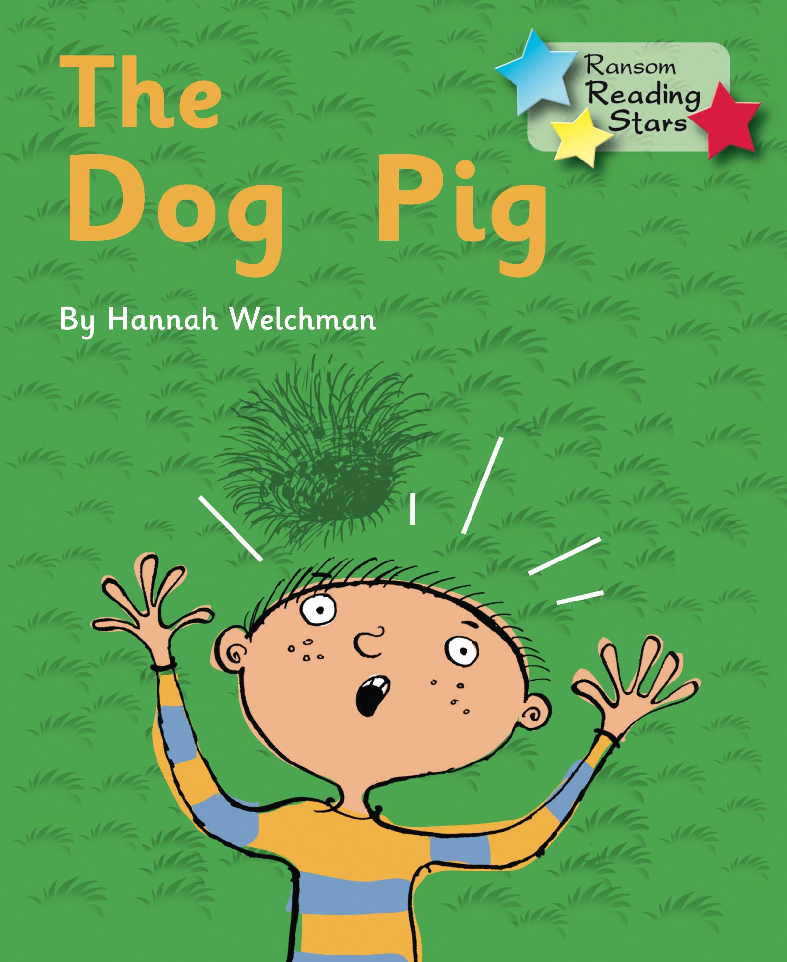 The Dog Pig Phonics Phase 2 by Welchman Hannah (Paperback Book)