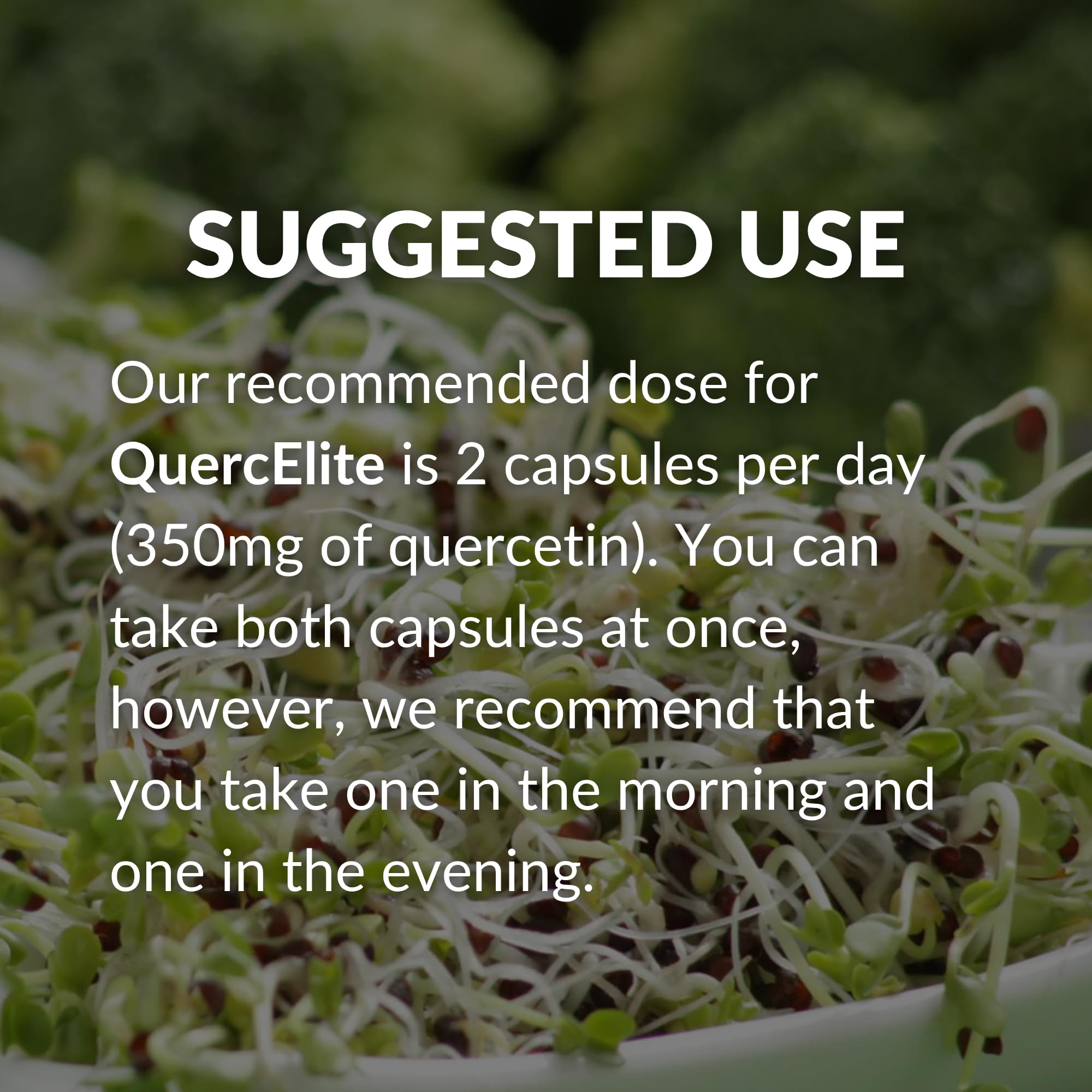 BrocElite Mara Labs QuercElite Bioavailable Quercetin | 30 Vegan Caps — Amazon image 7