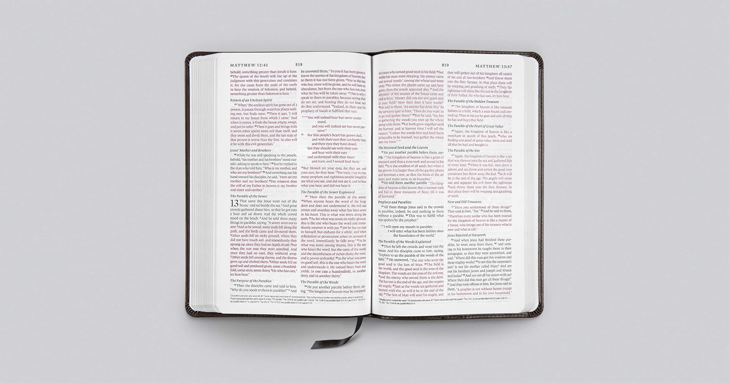 ESV Thinline Bible, Red Letter (TruTone, Charcoal, Celtic Cross Design): Holy Bible, English Standard Version      Imitation Leather – November 13, 2025