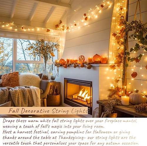 Miniatura 169 de JMEXSUSS Guirnalda de luces LED de 168 pies, 600 luces LED para el día de San Valentín, luces rojas de Navidad con alambre transparente, 8 modos