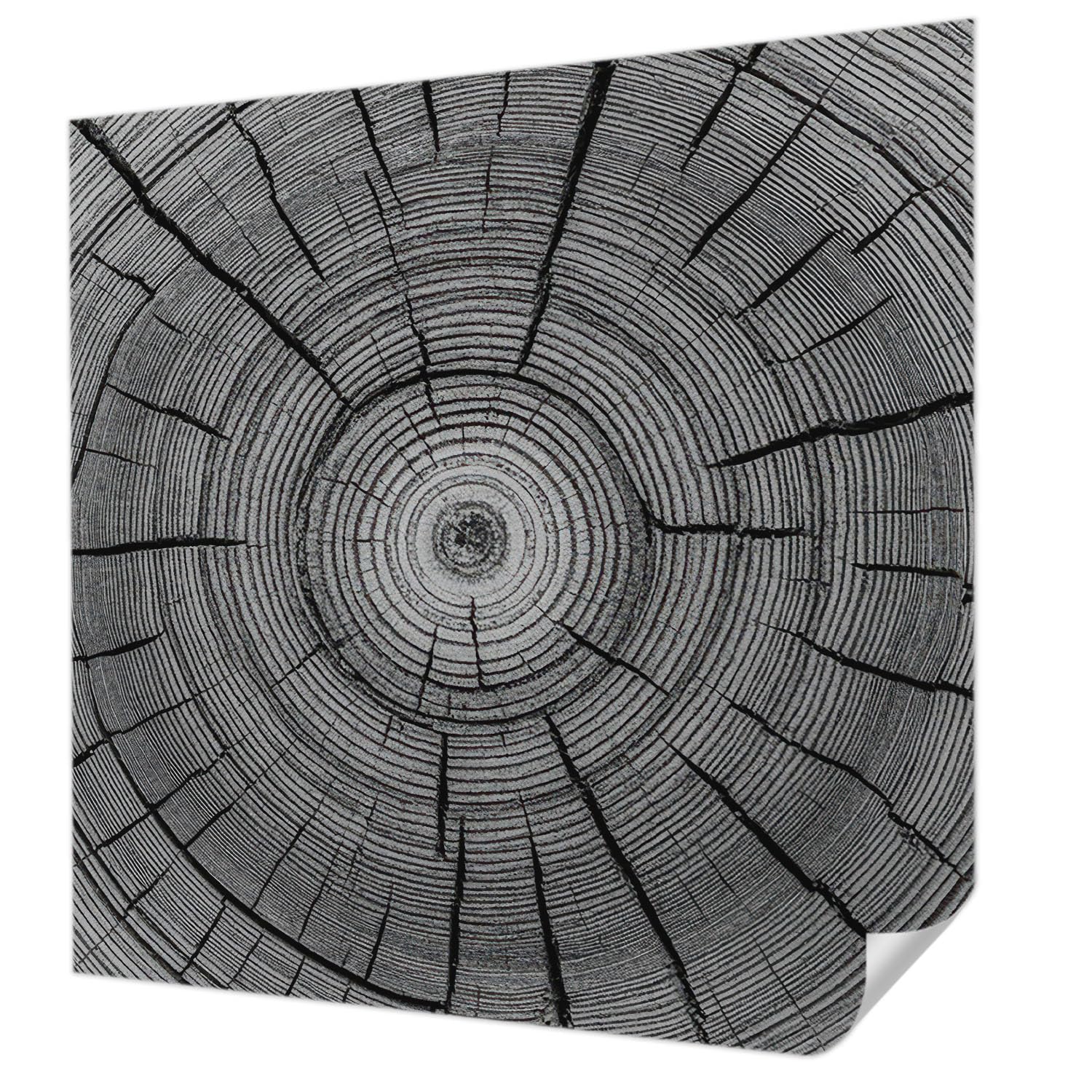 Papier peint autocollant chambre à coucher Tulup 250x250 cm ambiance forêt apaisante