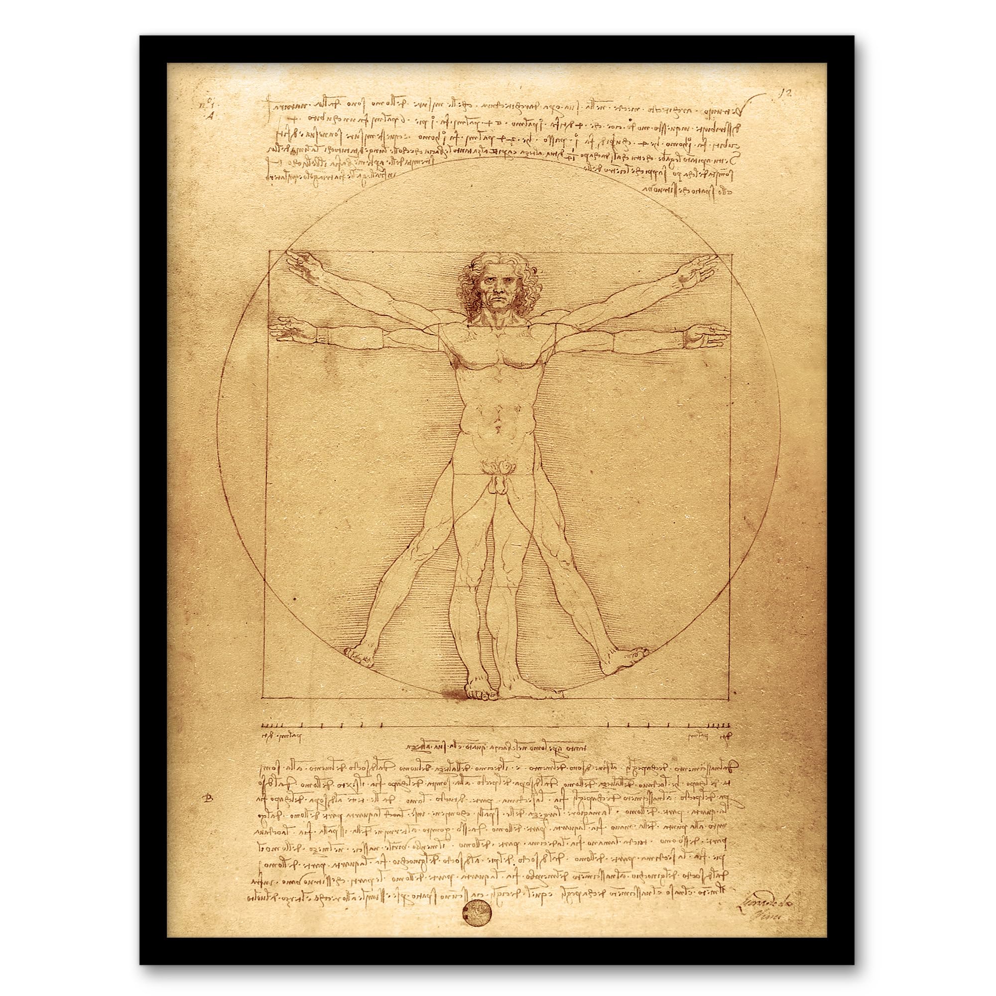 Artery8 Framed Wall Art Print - Vitruvian Man Drawing - W12" x H16" - Brown