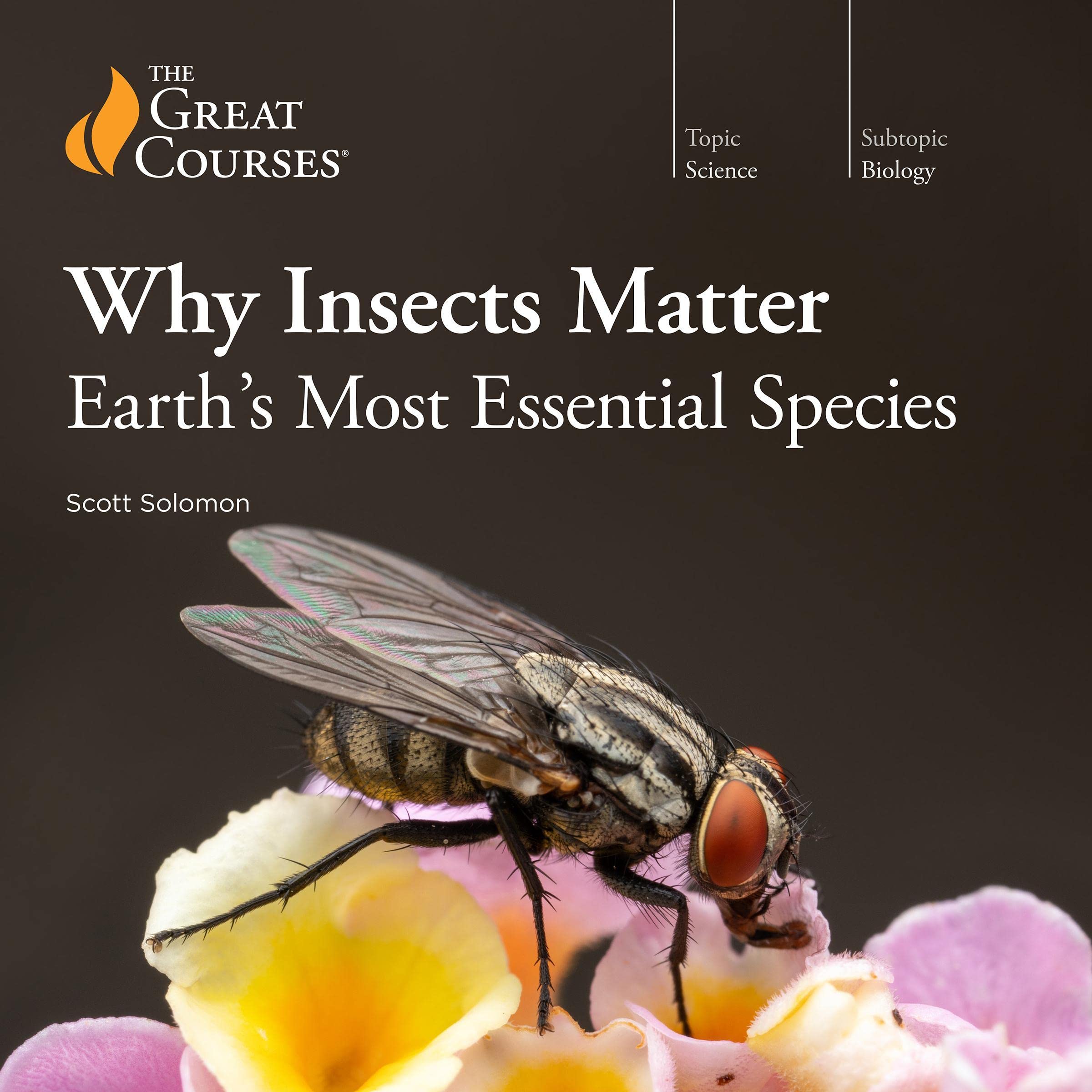 Why Insects Matter