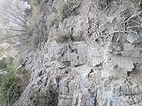 Review Image by Iron Eagle Iron Eagle