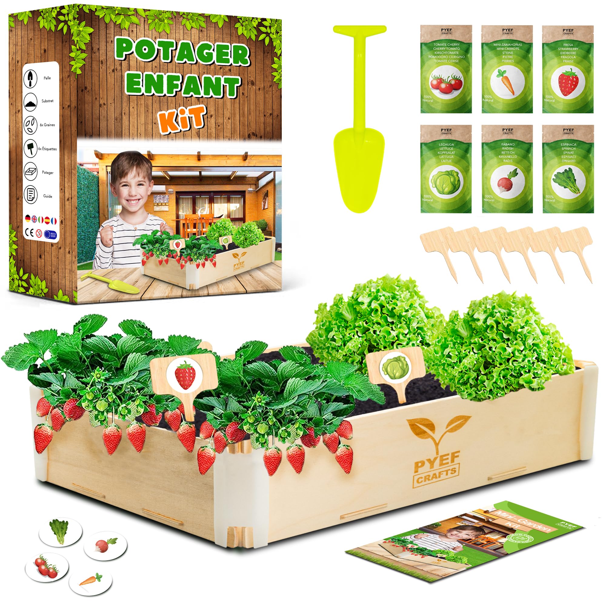 Velvetiser Hot Chocolate Maker PYEF Crafts Grow Your Own Kit For Kids ...