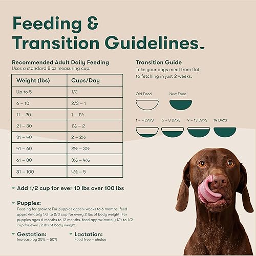 Miniatura 10 de Jinx Alimento seco prémium para perros sin granos, para todas las vidas, croquetas de pollo real, batata y zanahoria con superalimentos para apoyo