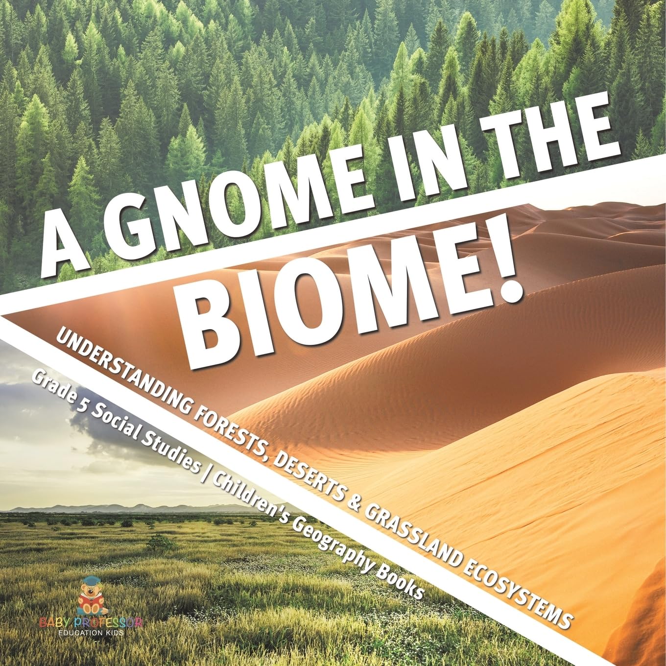 A Gnome in the Biome! : Understanding Forests, Deserts & Grassland Ecosystems | Grade 5 Social Studies | Children's Geography Books